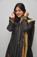 Keerthi Chawla Latest Photos